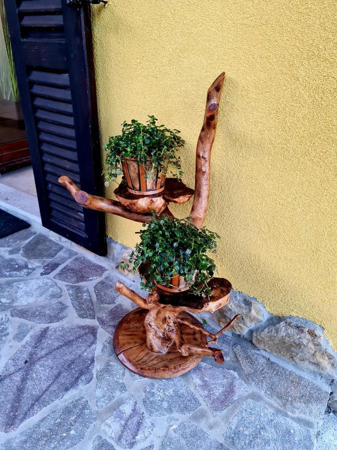 Casa Villanova Homes Nova Vas nad Dragonjo Экстерьер фото